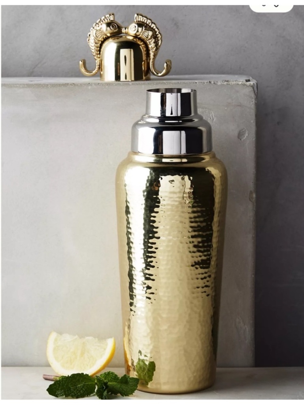 Anthropologie Shaker
